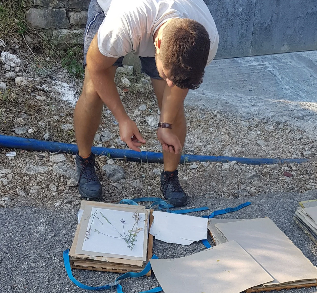 βοτανικός κήπος κεφαλονιάς, κήπος κεφαλονιά, πάρκο κεφαλονια, αξιοθέατα κεφαλονιά, 