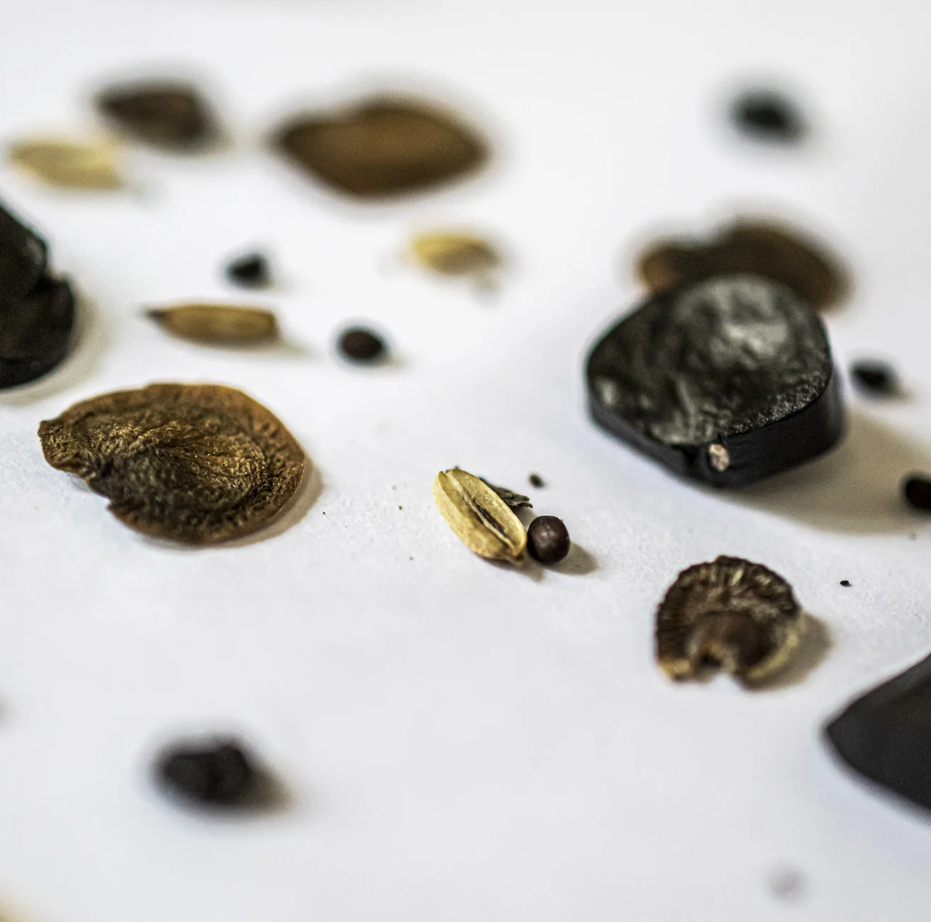 Βοτανικός Κήπος Κεφαλονιάς - Τι να δω στην Κεφαλονιά - Αξιοθέατα Κεφαλονιά