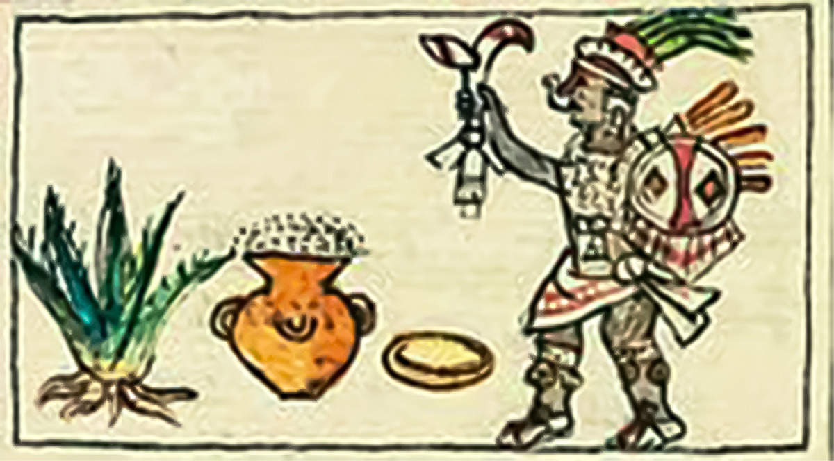 τι να δω στην κεφαλονιά, ,Ίδρυμα Φωκά-Κοσμετάτου, πάρκα και κήποι Κεφαλονιά,